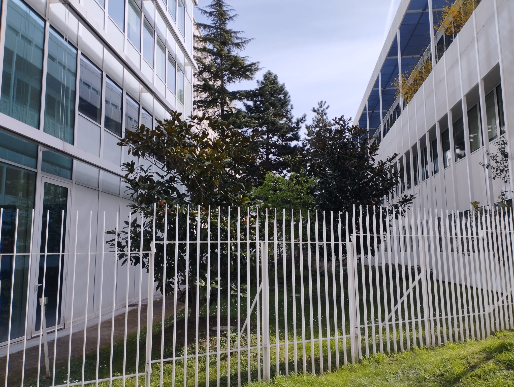 location Bureaux PARIS - Photo 7